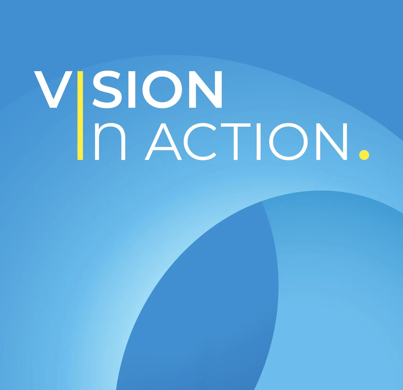 Vision in Action