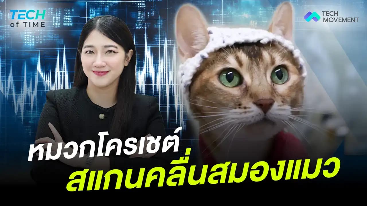 หมวกโครเชต์สแกนคลื่นสมองแมว_Tech_of_time_Ep.17