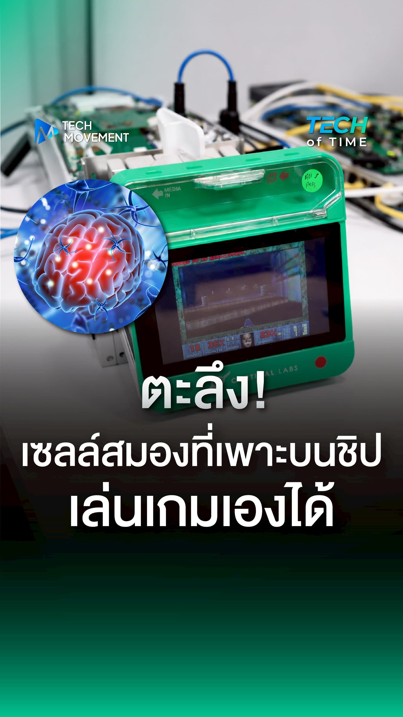 ตะลึง เซลล์สมองที่เพาะบนชิป เล่นเกมเองได้